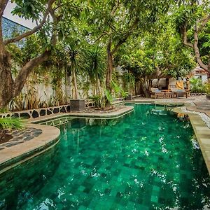 Scallywags Mango Retreat